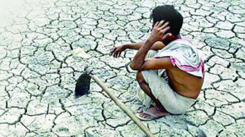 The drought like situation has also dried up 1,343 tanks in Melur, Madurai and Gudur divisions in the district. (Representational image) The drought like situation has also dried up 1,343 tanks in Melur, Madurai and Gudur divisions in the district. (Representational image)