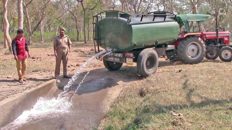 Kerala will soon have automated weather stations and mechanised farming centres in all panchayats to provide timely inputs to farmers. (Photo: File) Kerala will soon have automated weather stations and mechanised farming centres in all panchayats to provide timely inputs to farmers. (Photo: File)