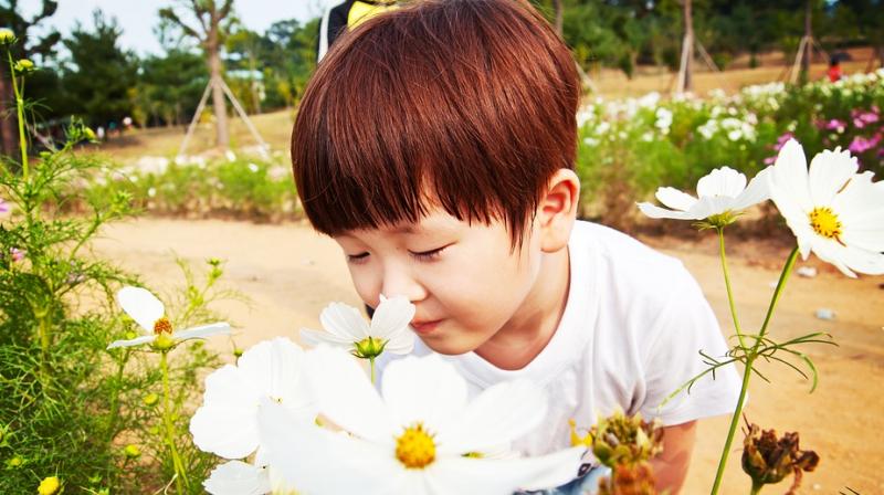 Scientists find new way to better undertsand odours. (Photo: Pixabay) Scientists find new way to better undertsand odours. (Photo: Pixabay)
