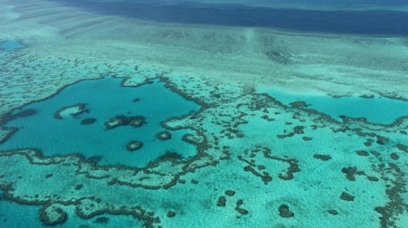 An aerial view of the Great Barrier Reef An aerial view of the Great Barrier Reef