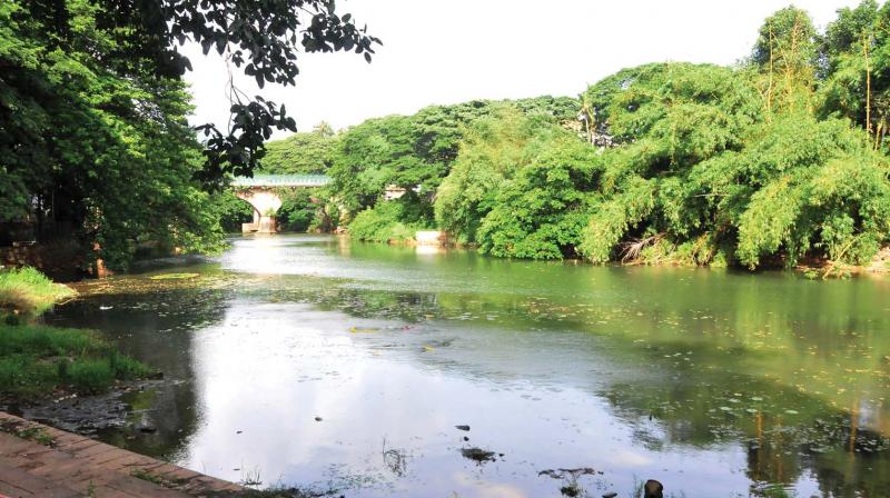 The Karamana river which is getting severely polluted due to lack of centralised waste management facility. The Karamana river which is getting severely polluted due to lack of centralised waste management facility.