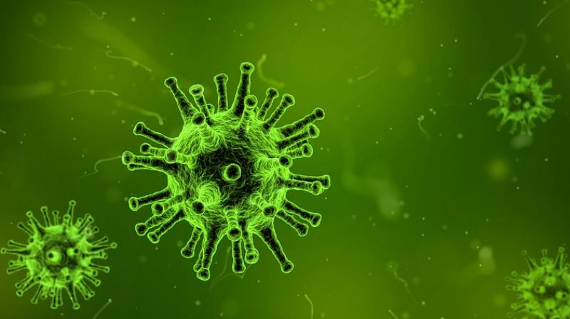 Scientists discover new way to attack herpesviruses. (Photo: Pixabay) Scientists discover new way to attack herpesviruses. (Photo: Pixabay)
