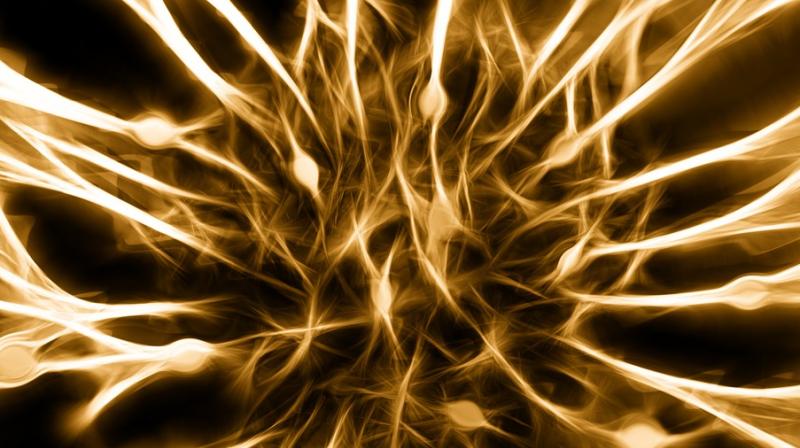 Novel brain network linked to pain in Parkinson's disease . (Photo: Pixabay) Novel brain network linked to pain in Parkinson's disease . (Photo: Pixabay)