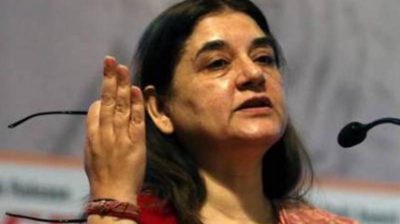 Social media was infuriated by Maneka Gandhi's recent comments during a TV interview about early curfews for women in hostels. (File Photo) Social media was infuriated by Maneka Gandhi's recent comments during a TV interview about early curfews for women in hostels. (File Photo)