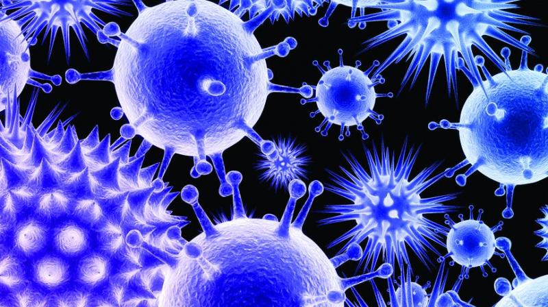 District medical and health officers recorded only 70 dengue cases in July but doctors state that the number is higher. District medical and health officers recorded only 70 dengue cases in July but doctors state that the number is higher.