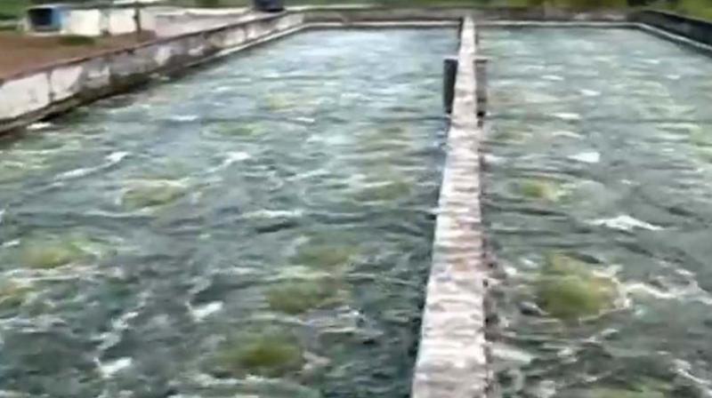 Sewage treatment plant at Medical college. (File pic) Sewage treatment plant at Medical college. (File pic)