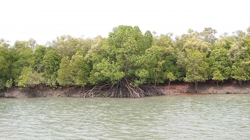 The project, expected to cost over Rs. 1 lakh crore, is funded by the Japan International Cooperation Agency (JICA). (Photo: Rpresentational image) The project, expected to cost over Rs. 1 lakh crore, is funded by the Japan International Cooperation Agency (JICA). (Photo: Rpresentational image)