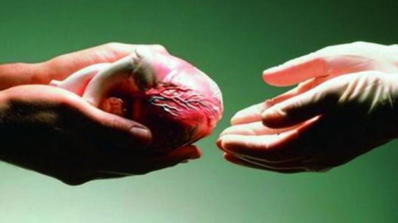 On World Liver Day (Wednesday), doctors have urged the public to understand the importance of liver. On World Liver Day (Wednesday), doctors have urged the public to understand the importance of liver.