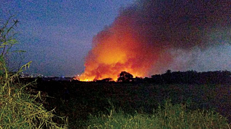 Smoke billowing from Bellandur Lake on Friday after it caught fire. Smoke billowing from Bellandur Lake on Friday after it caught fire.