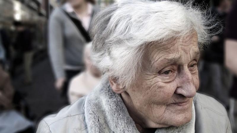 Studies show a direct causal link between gut bacteria and Alzheimer's disease. (Photo: Pixabay) Studies show a direct causal link between gut bacteria and Alzheimer's disease. (Photo: Pixabay)