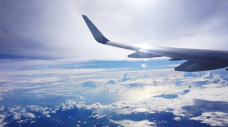 A viral video of Friday’s incident at the international airport in Lagos also showed panicked passengers who appeared eager to flee the plane. (Photo: Representational/Pixabay) A viral video of Friday’s incident at the international airport in Lagos also showed panicked passengers who appeared eager to flee the plane. (Photo: Representational/Pixabay)