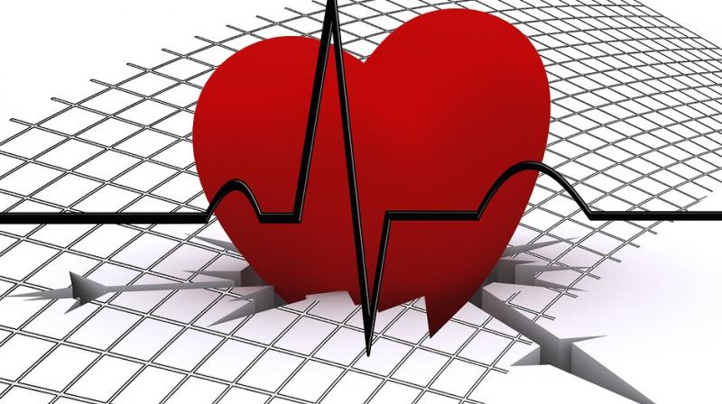 The absorbable stents are fully dissolving artery stents that are absorbed by the body over roughly three years. (Photo: Pixabay) The absorbable stents are fully dissolving artery stents that are absorbed by the body over roughly three years. (Photo: Pixabay)