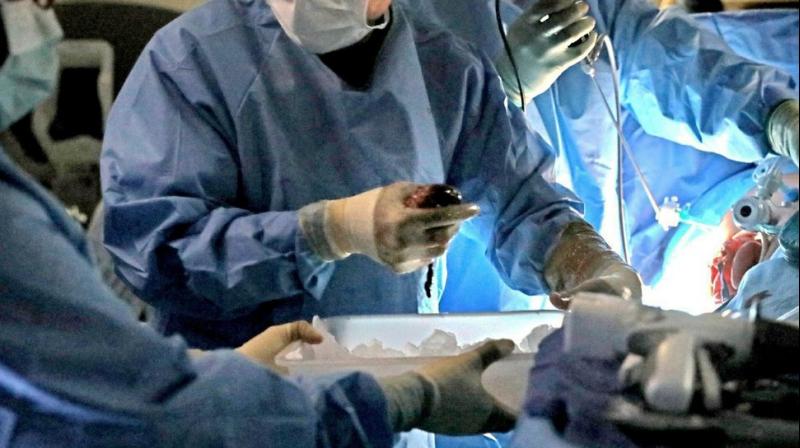 Last year, out of about 2.8 million deaths, there were 10,721 deceased donors. Their organs led to 29,680 transplants. (Photo: AP) Last year, out of about 2.8 million deaths, there were 10,721 deceased donors. Their organs led to 29,680 transplants. (Photo: AP)