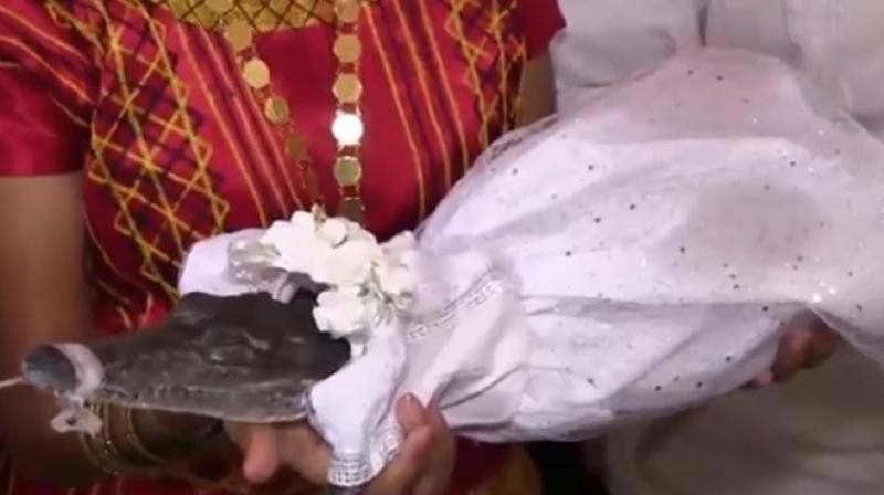 The crocodile princess bride in Mexico. (Photo: Youtube) The crocodile princess bride in Mexico. (Photo: Youtube)