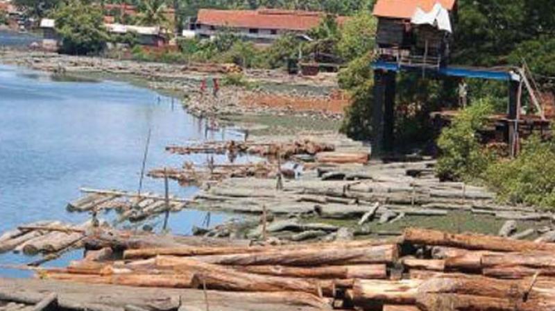 Timber business along River Kallayi. (File pic) Timber business along River Kallayi. (File pic)