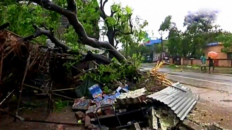 Trees uprooted and houses damaged in Nagapattinam in the overnight rainfall and strong winds which hit the town. (Photo: Twitter | ANI) Trees uprooted and houses damaged in Nagapattinam in the overnight rainfall and strong winds which hit the town. (Photo: Twitter | ANI)