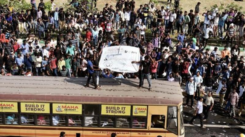 Youngsters and students during a protest to lift the ban on Jallikattu and impose ban on PETA, at Kamarajar Salai, Marina Beach. (Photo: PTI) Youngsters and students during a protest to lift the ban on Jallikattu and impose ban on PETA, at Kamarajar Salai, Marina Beach. (Photo: PTI)