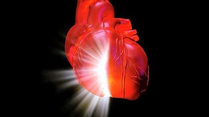 The noninvasive option should be a preferred or at least strongly considered option by cardiologists and radiologist. (Representational Image) The noninvasive option should be a preferred or at least strongly considered option by cardiologists and radiologist. (Representational Image)