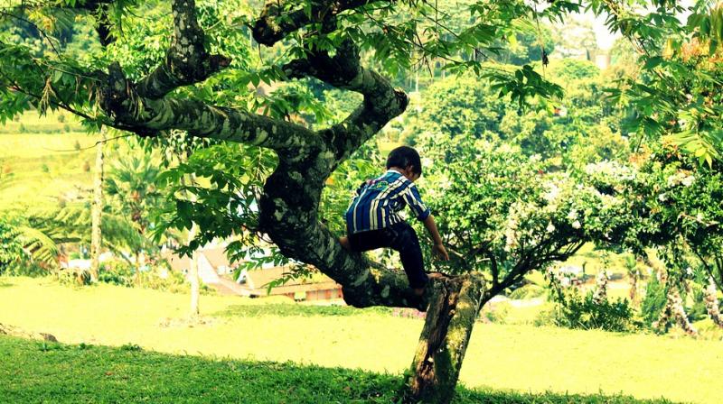 The study found that in 61 percent of boys, moderate levels of physical activity gradually tailed off from the age of seven. (Photo: Pixabay) The study found that in 61 percent of boys, moderate levels of physical activity gradually tailed off from the age of seven. (Photo: Pixabay)