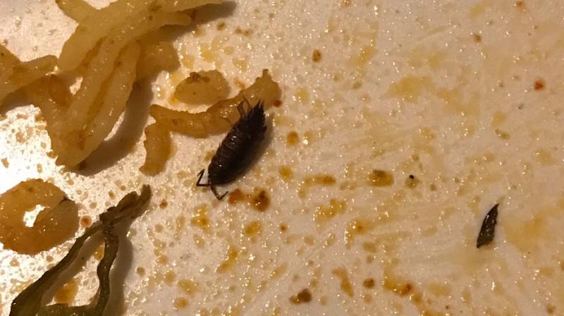 The diner, B Kiran Goud, submitted pictures and video recordings of insects in the food item as evidence. (Photo: DC) The diner, B Kiran Goud, submitted pictures and video recordings of insects in the food item as evidence. (Photo: DC)