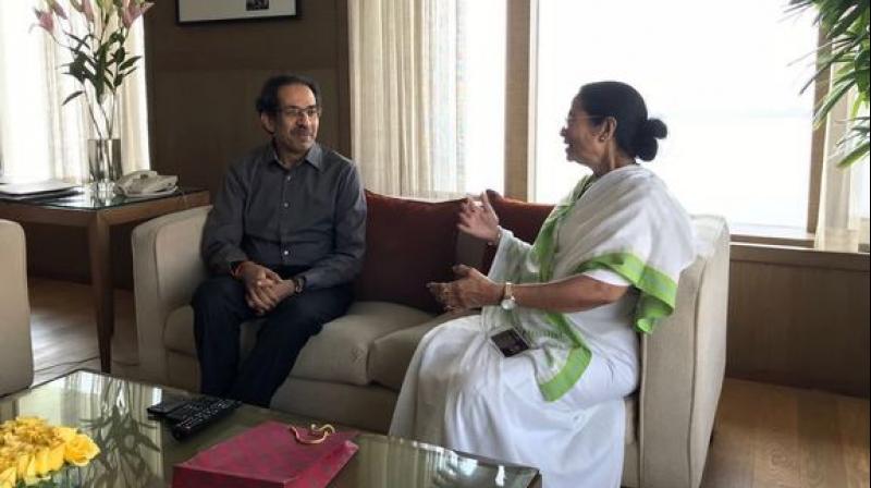Uddhav Thackeray had also met Banerjee when she visited Mumbai in November last year. (Photo: File | PTI) Uddhav Thackeray had also met Banerjee when she visited Mumbai in November last year. (Photo: File | PTI)