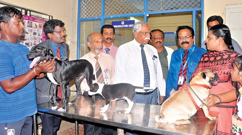 Dr C. Balachanran, vice-chancellor, Tanuvas, and Animal Science University, discusses with pet owners during the Pet Parents Meet 2018 held at Madras Veterinary College on Wednesday. (Photo: DC) Dr C. Balachanran, vice-chancellor, Tanuvas, and Animal Science University, discusses with pet owners during the Pet Parents Meet 2018 held at Madras Veterinary College on Wednesday. (Photo: DC)