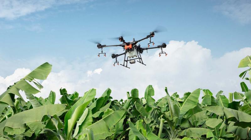 Farmers are slowly using drones, mostly micros or minis, for watering fields, for pesticide or seed spraying -- and they are served by an entire ecosystem of drone developers Farmers are slowly using drones, mostly micros or minis, for watering fields, for pesticide or seed spraying -- and they are served by an entire ecosystem of drone developers