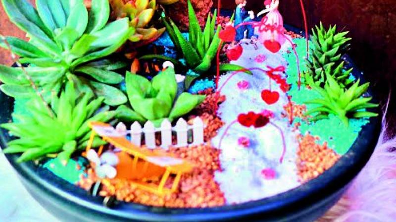 Mini ecosystems Mini ecosystems