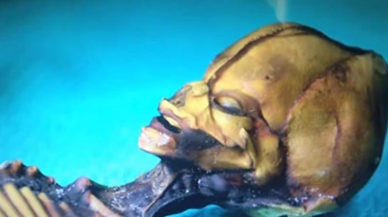 Five years of genomic analysis helped scientists point out mutations which caused the skeleton to appear so bizarre (Photo: YouTube) Five years of genomic analysis helped scientists point out mutations which caused the skeleton to appear so bizarre (Photo: YouTube)