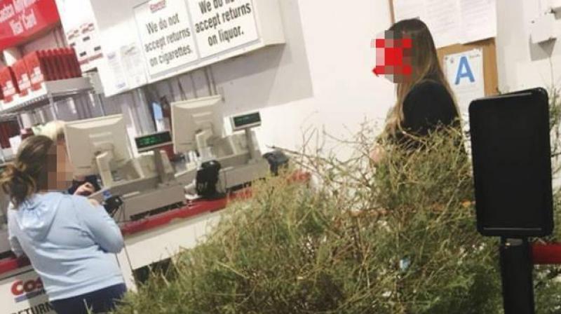 Oh, Christmas Tree! Woman Gets Refund For Dead Tree