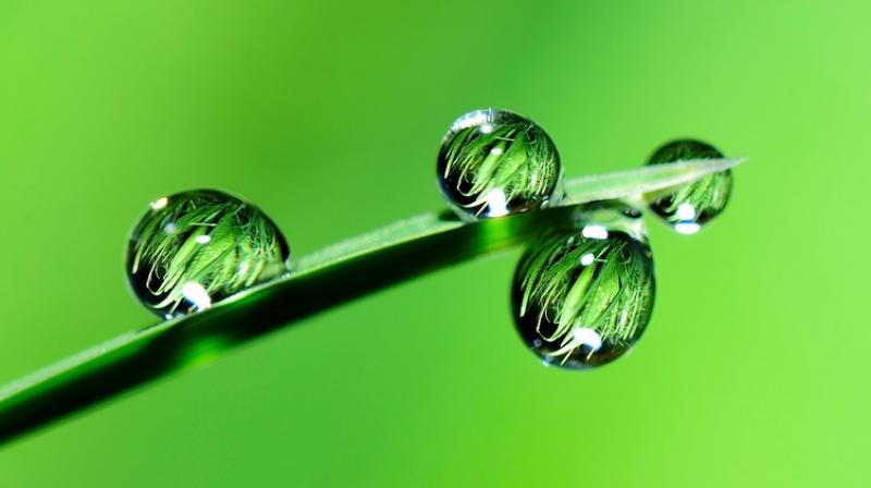 Japanese raindrop cake has taken the internet by storm. (Photo: Pixabay) Japanese raindrop cake has taken the internet by storm. (Photo: Pixabay)