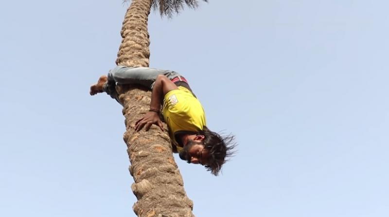 He can climb tall trees in just 5 mins (Photo: YouTube) He can climb tall trees in just 5 mins (Photo: YouTube)
