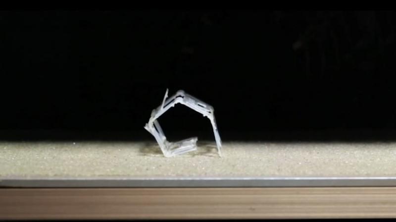 The Rollbot measures 8cmx4cm in flat form. (Photo: Caltech) The Rollbot measures 8cmx4cm in flat form. (Photo: Caltech)
