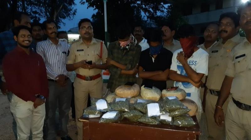 The Andhra Pradesh police has arrested three BTech students and seized 10-kilogram ganja. (Photo: ANI) The Andhra Pradesh police has arrested three BTech students and seized 10-kilogram ganja. (Photo: ANI)
