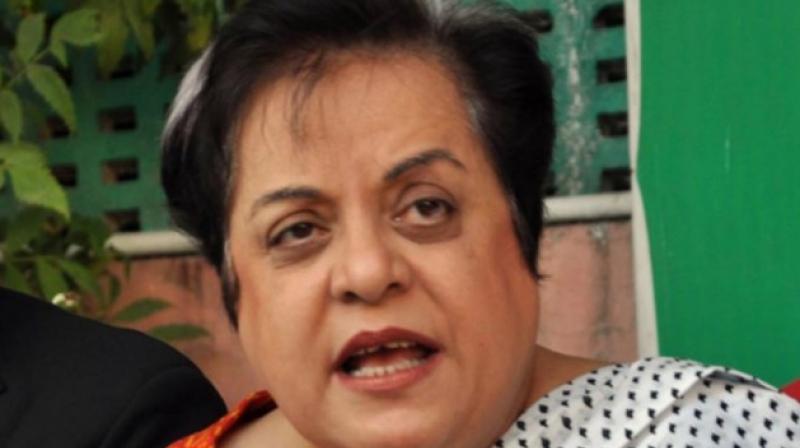 Shireen Mazari (Photo: PTI) Shireen Mazari (Photo: PTI)