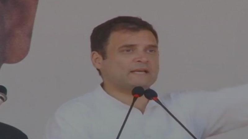 The Congress chief also said he chose Wayanad in Kerala as his second constituency as the southern state respects other people's ideas. (Image: ANI) The Congress chief also said he chose Wayanad in Kerala as his second constituency as the southern state respects other people's ideas. (Image: ANI)