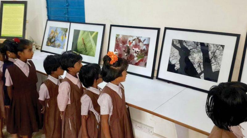 This year, on Earth Day 2018, the collection showcases on images from all the previous years, with a few new series from the Indian capital New Delhi. This year, on Earth Day 2018, the collection showcases on images from all the previous years, with a few new series from the Indian capital New Delhi.