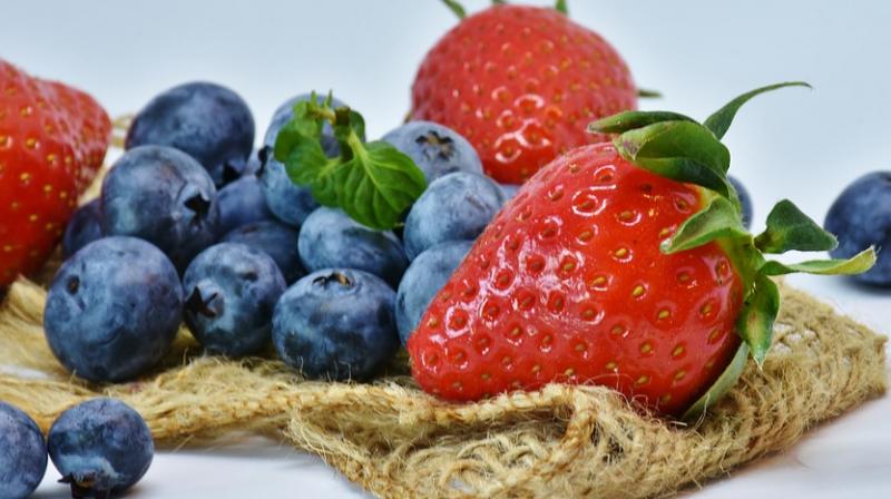 Such diets include reduced consumption of animal products, which have a higher environmental impact than plant-based products. (Photo: Pixabay) Such diets include reduced consumption of animal products, which have a higher environmental impact than plant-based products. (Photo: Pixabay)