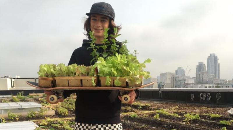 Surrounded by high towers, postal workers grow fruit and vegetables including lettuces, aubergines and tomatoes, and breed chickens. (Photo: Facebook/Facteur Graine) Surrounded by high towers, postal workers grow fruit and vegetables including lettuces, aubergines and tomatoes, and breed chickens. (Photo: Facebook/Facteur Graine)