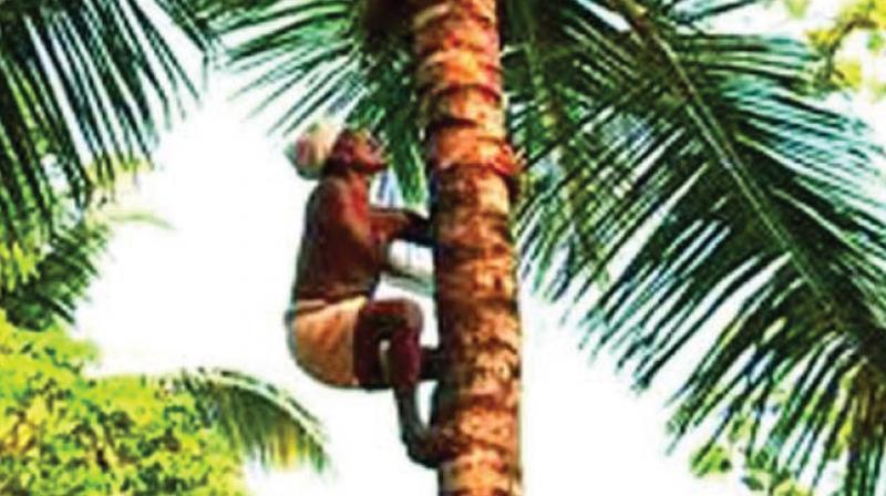 Women will have a pivotal role in making the initiative a success and hence all who are in need for a job must become part of the project, he said. Women will have a pivotal role in making the initiative a success and hence all who are in need for a job must become part of the project, he said.