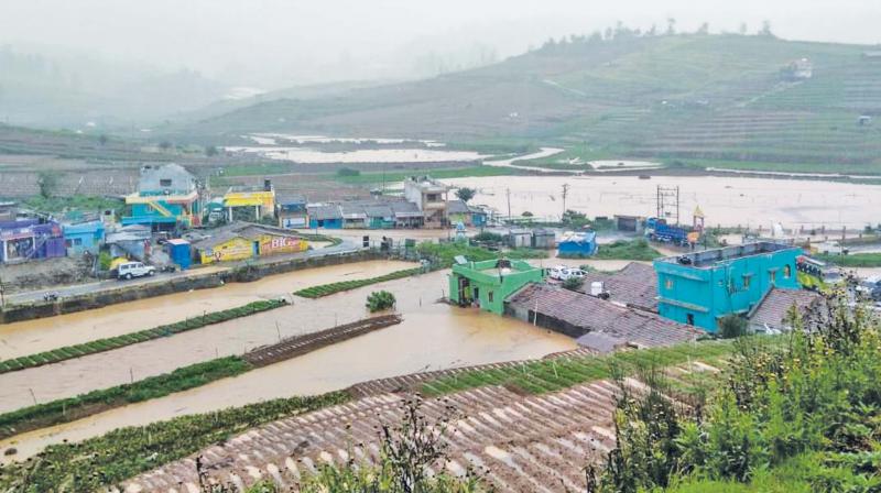 Flooded area in Muthorai- Palada near Ooty.(Photo: DC) Flooded area in Muthorai- Palada near Ooty.(Photo: DC)