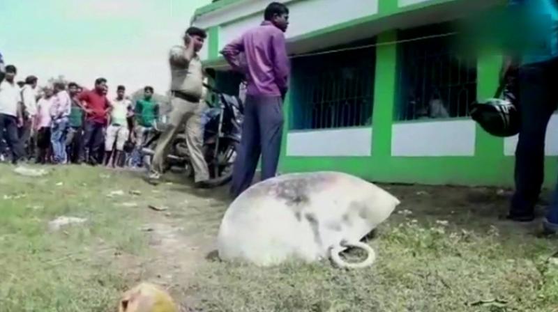 A police team has reached Trinamool Congress officer in West Midnapore where the blast killed one party worker. (Photo: Twitter | ANI) A police team has reached Trinamool Congress officer in West Midnapore where the blast killed one party worker. (Photo: Twitter | ANI)