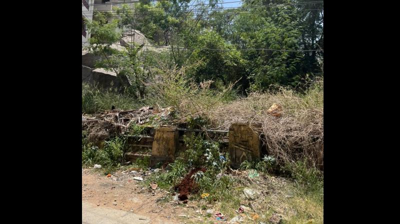 Hyderabad: Once Thriving Community Park in Rajendranagar Turns into Neglected Jungle