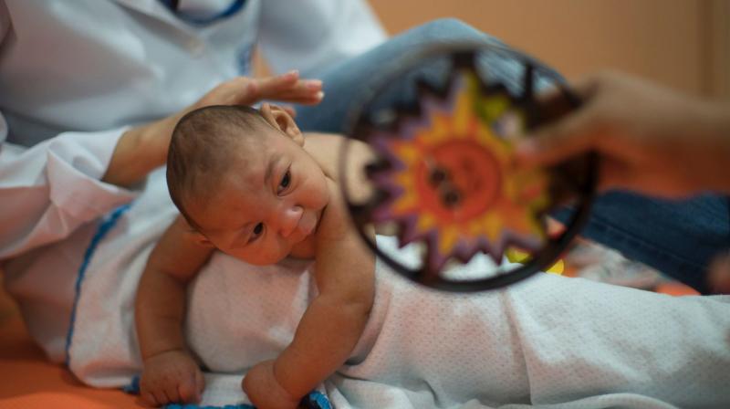 The mosquito-borne virus can cause severe brain damage and microcephaly, or small head size, when women are exposed during pregnancy. (Photo: AP) The mosquito-borne virus can cause severe brain damage and microcephaly, or small head size, when women are exposed during pregnancy. (Photo: AP)