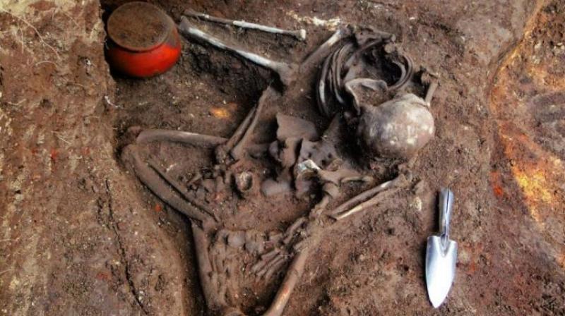 Bones found in a field above Mohawk Dam in (Ohio, US) are approximately 900 years old. (Photo: AFP) Bones found in a field above Mohawk Dam in (Ohio, US) are approximately 900 years old. (Photo: AFP)