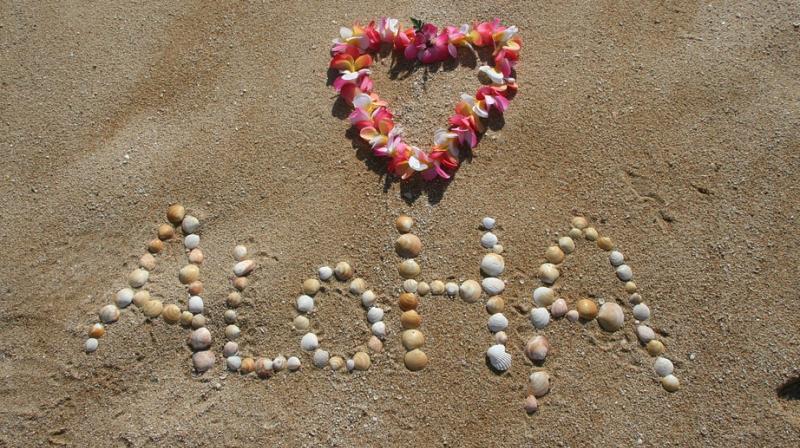Hawaii lawmakers are considering adopting a resolution calling for the creation of legal protections for Native Hawaiian cultural intellectual property. (Photo: Representational/Pixabay) Hawaii lawmakers are considering adopting a resolution calling for the creation of legal protections for Native Hawaiian cultural intellectual property. (Photo: Representational/Pixabay)
