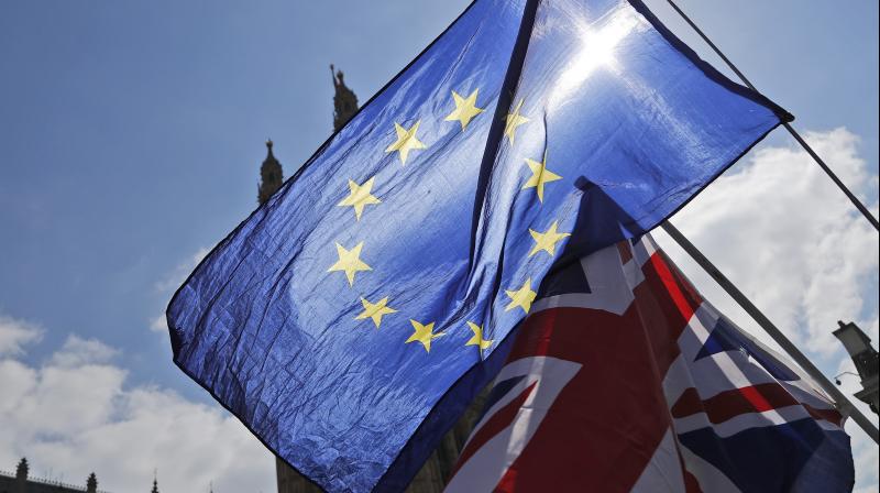 The squid are processed or shipped directly to other European nations. (Photo:AP) The squid are processed or shipped directly to other European nations. (Photo:AP)