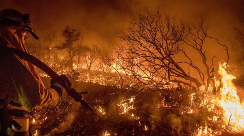The California wildfire had charred more than 50,000 acres, destroying hundreds of houses. (Photo: AP) The California wildfire had charred more than 50,000 acres, destroying hundreds of houses. (Photo: AP)