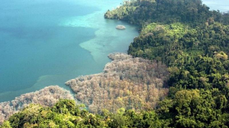 USA tourist killed by Indian tribe in Andaman islands, 7 held