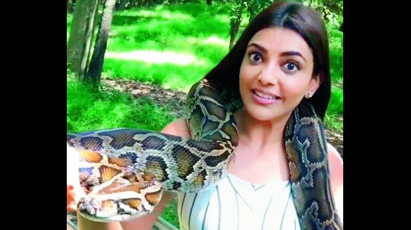 Kajal Aggarwal Kajal Aggarwal